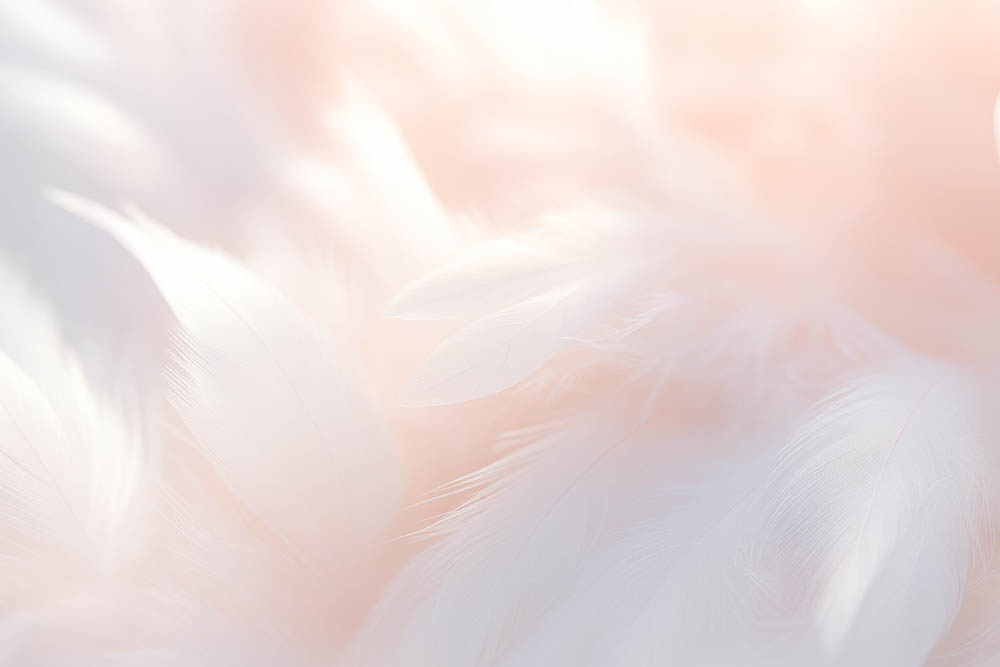 Soft feather background representing gentle pre-planning and living funerals